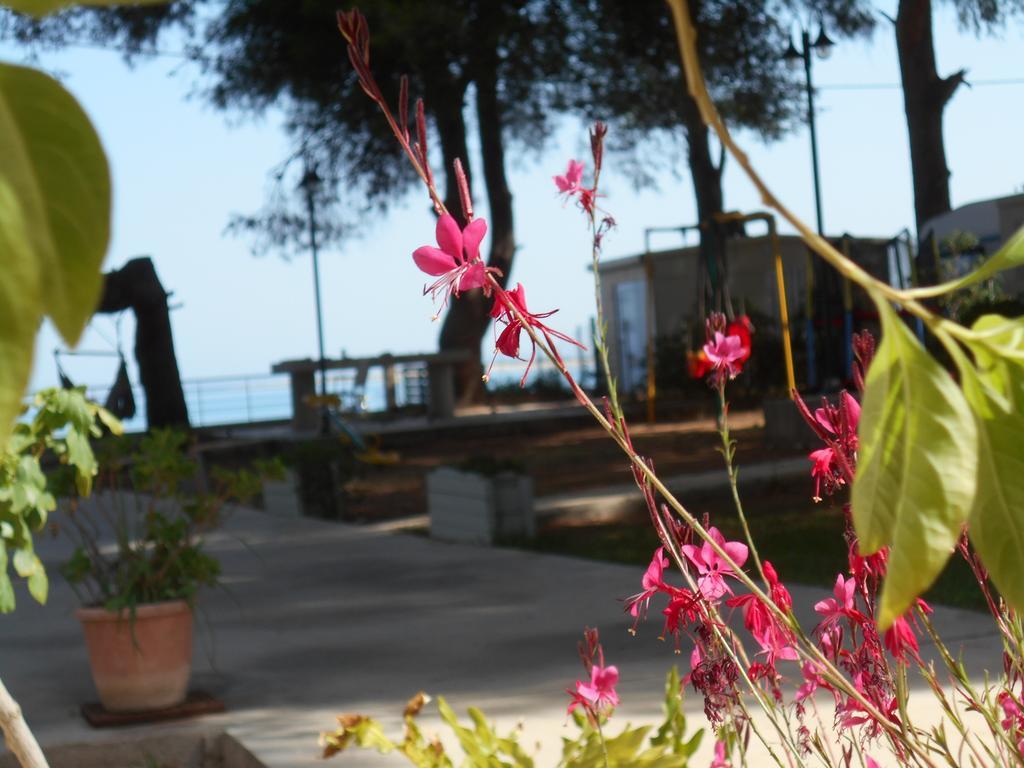Brunello Seaside *