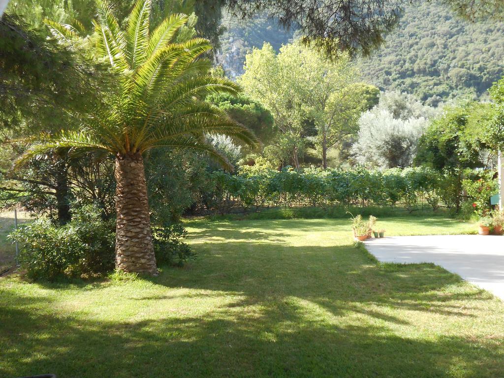 Brunello Seaside Apartment Lefkada City